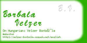 borbala velzer business card